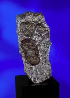 A Sikoly becenevű meteorit (ár: 175-225 ezer dollár)
