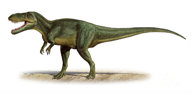Torvosaurus - kép:Szergej Kraszovszkij 