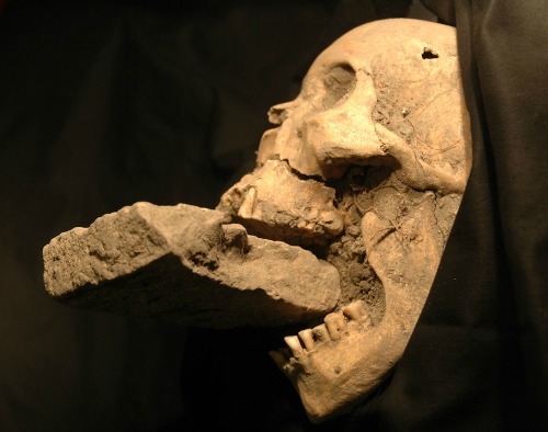 Velence Vámpírjának koponyáját egy tömegsírban találták meg (Fotó: Matteo Borrini)