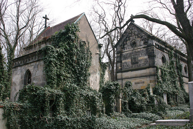Az Olsany temető Prágában - sok híres ember itt nyugszik