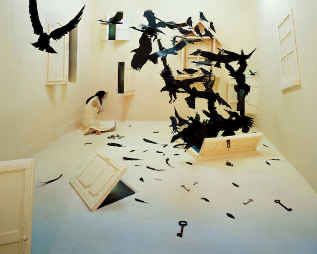 Fekete madarak (Fotó: mymodernmet.com/ Jee Young Lee)