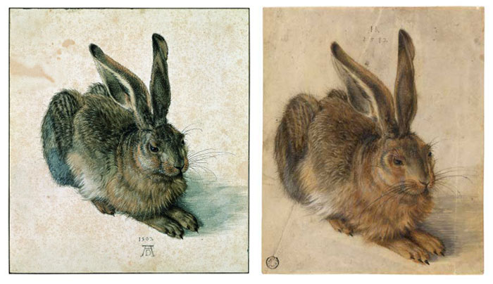 Nyúl Dürertől 1502-ből (a bal oldalon) és Hoffmanntól 1582-ből (a jobb oldalon)