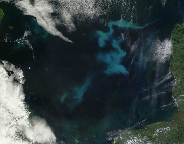 Planktonvirágzás az Északi-tengeren (Fotó: Hirado.hu/NASA/Terra)