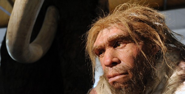 Neander-völgyi ember élethű modellje a Magyar Természettudományi Múzeumban (MTI Fotó: Manek Attila)