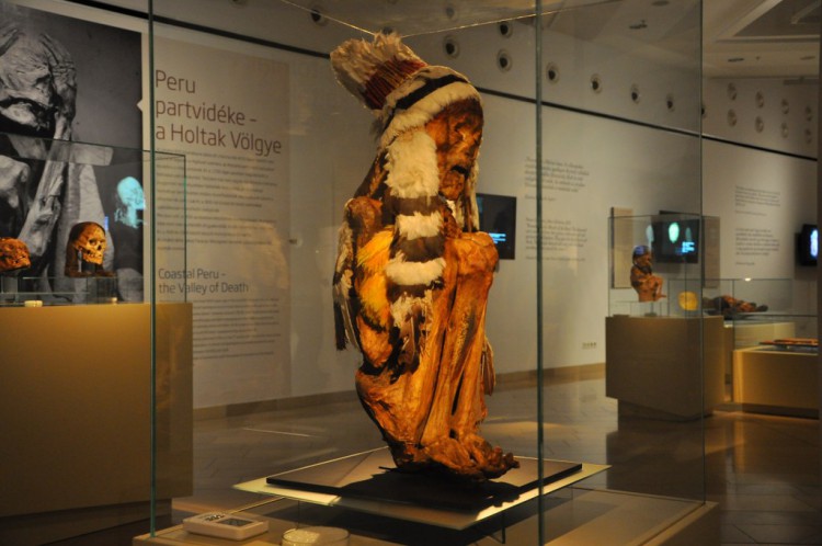 Múmiavilág kiállítás (fotó: jozsefvaros.hu)