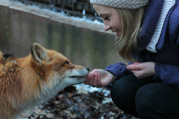 A rókatündér és a róka találkozása (Fotó: Filmteam/Rokonál Benedek)