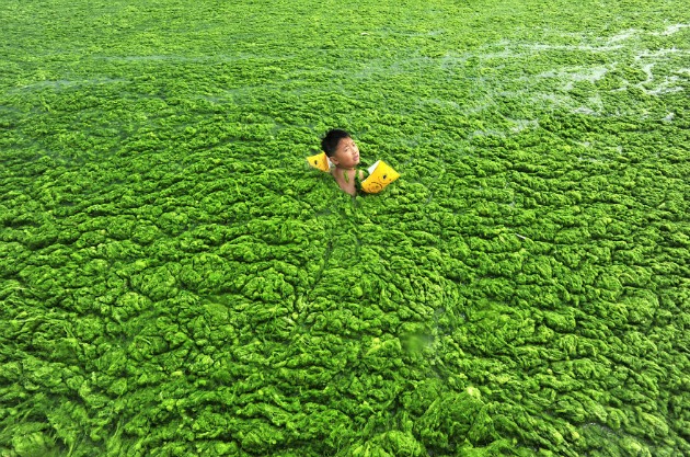 Kisfiú úszik egy algával borított víztározóban